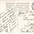 Vanha postikortti- kauniit naiset, sienet ja kukat - pikkukuva 2
