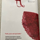 ANNA-LEENA HÄRKÖNEN: EI KIITOS (KOVAKANTINEN) - pikkukuva 3