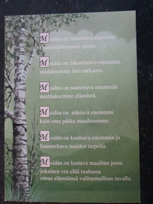 KULKEMATON MEIDÄN ON.. JUHA AARREPALO POSITIIVARIT
