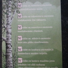 KULKEMATON MEIDÄN ON.. JUHA AARREPALO POSITIIVARIT - pikkukuva 1