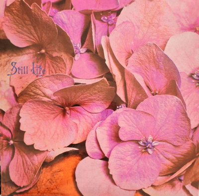 Still Life - Still Life Akarma AK 237 uudenveroinen vinyyli