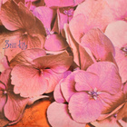Still Life - Still Life Akarma AK 237 uudenveroinen vinyyli - pikkukuva 1