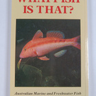 What fish is that? - pikkukuva 2