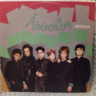 ANIMOTION - I WANT YOU (CLUB MIX) VINYL 12" 45 RPM - pikkukuva 1