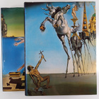 Gilles Neret ym. : Salvator Dali : La obra pictorica, Vol... - pikkukuva 2