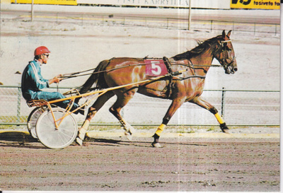 Hevonen, Carola / Mikko Iiskola , e132