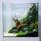 Uniikki akvaariojuurakko 69 cm | P242618 - pikkukuva 3