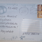 Ansio: siili kukan alla, kulkenut 2009 - pikkukuva 2