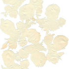 EAS 3123 Lapset, kukat, irtokuvat - pikkukuva 2