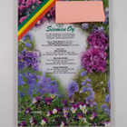 Siemenhinnasto 1999 - pikkukuva 2