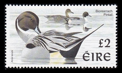Irlanti 1056 ** Käyttösarja lintuja (1998)