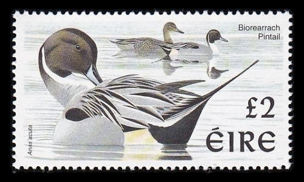 Irlanti 1056 ** Käyttösarja lintuja (1998)
