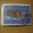 CCCP 1963: kansallisia urheilulajeja - pikkukuva 2