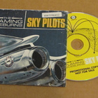 The Flaming Sideburns Sky pilots cd US 2003 promo - pikkukuva 1