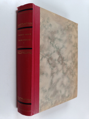 Thomas Mann : Taikavuori 1