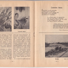 TURUN SUOMALAINEN SÄÄSTÖPANKKI, SÄÄSTÄJÄ LEHTI NO 5/ 1946, - pikkukuva 2