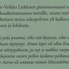 Ville-Veikko Liekkinen: Muistolehto - pikkukuva 3