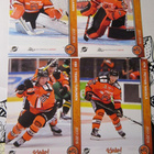 HPK 2017-2018 8 kpl - pikkukuva 3