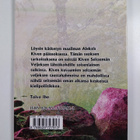 Toivo Iho : Seittemän miestä - pikkukuva 2