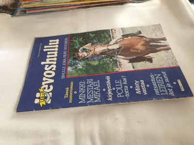 HEVOSHULLU 24/1982 HYVÄ