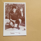 Taisto Tammi. - pikkukuva 1