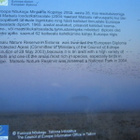 Matsalu Linnud / Matsalu Birds / Korttisarja / Kuvasarja - pikkukuva 5