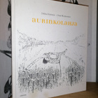 Jukka Itkonen & Outi Heiskanen - Aurinkolahja - 1.p.2014 - pikkukuva 1