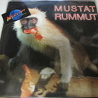 ARI VAAHTERA - MUSTAT RUMMUT OMAKUSTANNE -87 M-/EX+ LP - pikkukuva 1