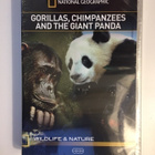 Gorillas, Chimpanzees & The Giant Panda -National Geographic - pikkukuva 1