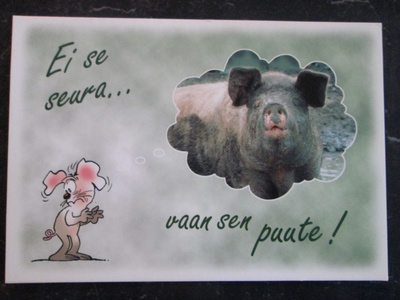 KULKEMATON KUPLAT POSSU JA HIIRI MARKKA-AJALTA