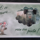 KULKEMATON KUPLAT POSSU JA HIIRI MARKKA-AJALTA - pikkukuva 1