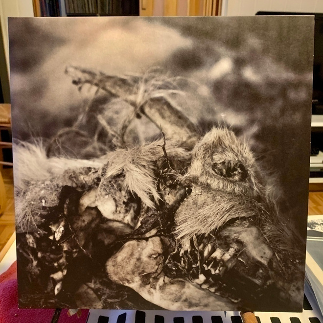 APHONIC THRENODY: When Death Comes ** 2LP, limited**