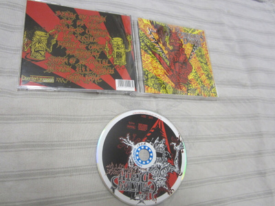Malicious Death – ...From Above (FIN thrash