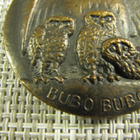 World Wildlife Fund mitali Bubo Bubo 1977 /Raimo Heino. - pikkukuva 2