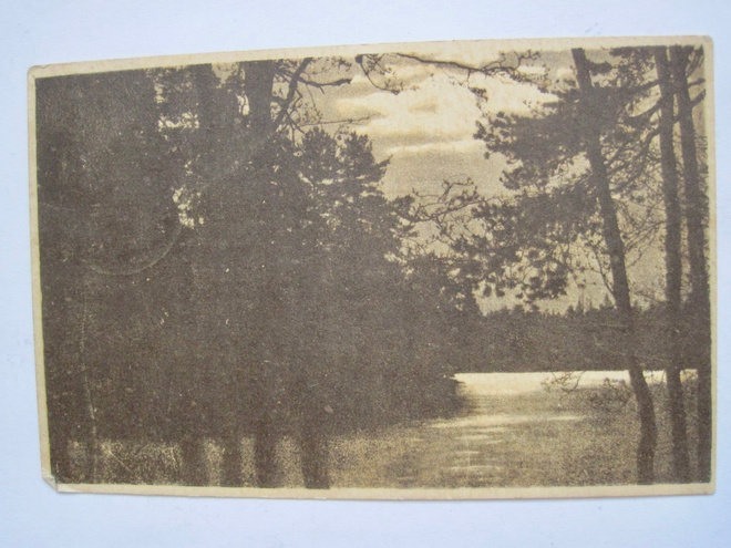 VANHA Postikortti Tammela Saloisjärvi 1925