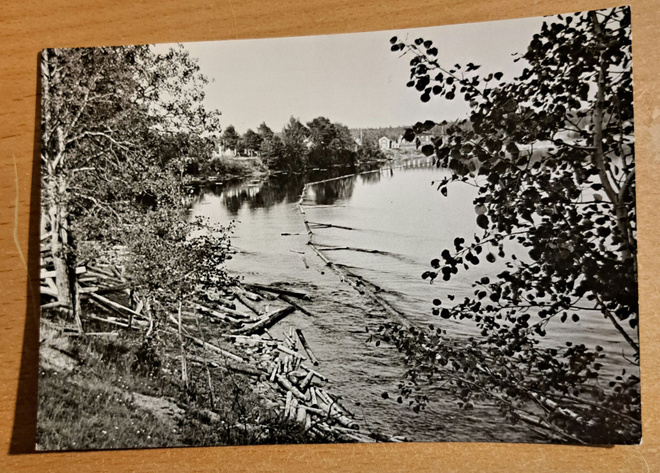 uittopuomit Iijoessa, kuvattu 1960-luvulla