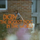 DIGBY - KOIRAA KERRAKSEEN dvd 1973 ***UUSI, MUOVEISSA*** - pikkukuva 4