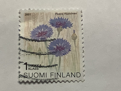 1571/ 2001 Ruiskaunokki o leimattu
