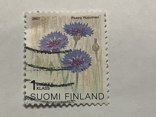 1571/ 2001 Ruiskaunokki o leimattu