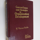 Current issues and strategies in organization development - pikkukuva 1