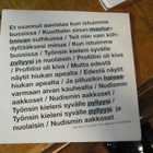 Mikko Torvisen Viihdeorkesteri 7" 2008 Moppi Ja Aivokurkiais - pikkukuva 3
