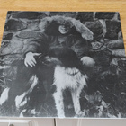 Paul Simon LP - pikkukuva 2