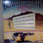 BEAUTIFUL COUNTRY :: 2 x VINYYLI LP, COMPILATION ... 1990 !! - pikkukuva 1