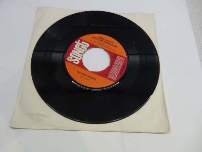 TERRY DACTYL AND THE DINOSAURS 7`SEA SIDE SHUFFLE,BALL .....