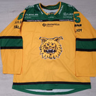 Ilves game worn -pelipaita koronakaudelta 2021–22 - pikkukuva 1