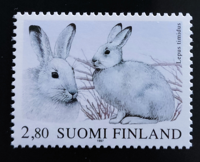 1997 Metsäjänis 2,80 mk **