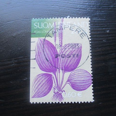 Elias Lönnrot (Lape 1604) 2002
