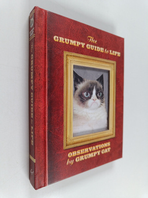 The grumpy guide to life : observations