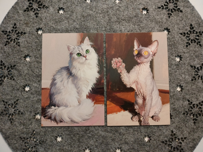 ~Kissa kortti~ 2kpl