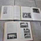 KOTIELÄINOPPI I - III ( kovakantiset hienot kirjat v1958-59 - pikkukuva 2